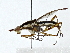  ( - BIOUG91362-F12)  @11 [ ] CreativeCommons - Attribution (2022) CBG Photography Group Centre for Biodiversity Genomics