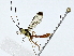  ( - BIOUG91363-B08)  @11 [ ] CreativeCommons - Attribution (2022) CBG Photography Group Centre for Biodiversity Genomics