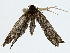  ( - BIOUG91363-D04)  @11 [ ] CreativeCommons - Attribution (2022) CBG Photography Group Centre for Biodiversity Genomics