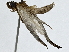  ( - BIOUG91363-D12)  @11 [ ] CreativeCommons - Attribution (2022) CBG Photography Group Centre for Biodiversity Genomics