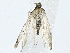 ( - BIOUG91363-E08)  @11 [ ] CreativeCommons - Attribution (2022) CBG Photography Group Centre for Biodiversity Genomics