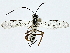  ( - BIOUG91363-F06)  @11 [ ] CreativeCommons - Attribution (2022) CBG Photography Group Centre for Biodiversity Genomics