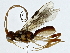  ( - BIOUG91363-G04)  @11 [ ] CreativeCommons - Attribution (2022) CBG Photography Group Centre for Biodiversity Genomics