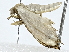  ( - BIOUG91364-B07)  @11 [ ] CreativeCommons - Attribution (2022) CBG Photography Group Centre for Biodiversity Genomics