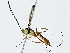  ( - BIOUG91365-E08)  @11 [ ] CreativeCommons - Attribution (2022) CBG Photography Group Centre for Biodiversity Genomics