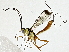  ( - BIOUG91365-H05)  @11 [ ] CreativeCommons - Attribution (2022) CBG Photography Group Centre for Biodiversity Genomics