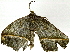  ( - BIOUG91366-H09)  @11 [ ] CreativeCommons - Attribution (2022) CBG Photography Group Centre for Biodiversity Genomics