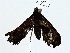  ( - BIOUG91367-A05)  @11 [ ] CreativeCommons - Attribution (2022) CBG Photography Group Centre for Biodiversity Genomics