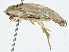 ( - BIOUG91367-E03)  @11 [ ] CreativeCommons - Attribution (2022) CBG Photography Group Centre for Biodiversity Genomics