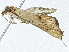  ( - BIOUG91367-E09)  @11 [ ] CreativeCommons - Attribution (2022) CBG Photography Group Centre for Biodiversity Genomics