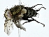  ( - BIOUG91368-E12)  @11 [ ] CreativeCommons - Attribution (2022) CBG Photography Group Centre for Biodiversity Genomics