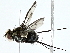  ( - BIOUG91368-F04)  @11 [ ] CreativeCommons - Attribution (2022) CBG Photography Group Centre for Biodiversity Genomics
