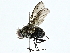  ( - BIOUG91368-F07)  @11 [ ] CreativeCommons - Attribution (2022) CBG Photography Group Centre for Biodiversity Genomics