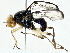  ( - BIOUG91368-G01)  @11 [ ] CreativeCommons - Attribution (2022) CBG Photography Group Centre for Biodiversity Genomics