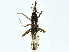  ( - BIOUG91368-G12)  @11 [ ] CreativeCommons - Attribution (2022) CBG Photography Group Centre for Biodiversity Genomics
