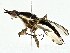  ( - BIOUG91368-H01)  @11 [ ] CreativeCommons - Attribution (2022) CBG Photography Group Centre for Biodiversity Genomics