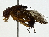  ( - BIOUG91393-B02)  @11 [ ] CreativeCommons - Attribution (2022) CBG Photography Group Centre for Biodiversity Genomics