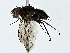  ( - BIOUG91393-C11)  @11 [ ] CreativeCommons - Attribution (2022) CBG Photography Group Centre for Biodiversity Genomics