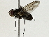  ( - BIOUG91393-D01)  @11 [ ] CreativeCommons - Attribution (2022) CBG Photography Group Centre for Biodiversity Genomics