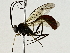  ( - BIOUG91393-F01)  @11 [ ] CreativeCommons - Attribution (2022) CBG Photography Group Centre for Biodiversity Genomics