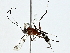  ( - BIOUG91393-F04)  @11 [ ] CreativeCommons - Attribution (2022) CBG Photography Group Centre for Biodiversity Genomics
