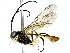  ( - BIOUG91394-E11)  @11 [ ] CreativeCommons - Attribution (2022) CBG Photography Group Centre for Biodiversity Genomics