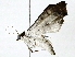  ( - BIOUG91395-H09)  @11 [ ] CreativeCommons - Attribution (2022) CBG Photography Group Centre for Biodiversity Genomics