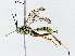  ( - BIOUG91396-D12)  @11 [ ] CreativeCommons - Attribution (2022) CBG Photography Group Centre for Biodiversity Genomics