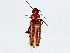  ( - BIOUG91396-G05)  @11 [ ] CreativeCommons - Attribution (2022) CBG Photography Group Centre for Biodiversity Genomics