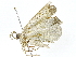  ( - BIOUG91397-B09)  @11 [ ] CreativeCommons - Attribution (2022) CBG Photography Group Centre for Biodiversity Genomics