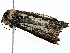  ( - BIOUG91397-B11)  @11 [ ] CreativeCommons - Attribution (2022) CBG Photography Group Centre for Biodiversity Genomics