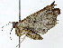  ( - BIOUG91397-E12)  @11 [ ] CreativeCommons - Attribution (2022) CBG Photography Group Centre for Biodiversity Genomics