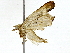  ( - BIOUG91397-F03)  @13 [ ] CreativeCommons - Attribution (2022) CBG Photography Group Centre for Biodiversity Genomics