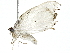  ( - BIOUG91397-G07)  @11 [ ] CreativeCommons - Attribution (2022) CBG Photography Group Centre for Biodiversity Genomics