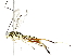  ( - BIOUG91398-B05)  @11 [ ] CreativeCommons - Attribution (2022) CBG Photography Group Centre for Biodiversity Genomics