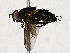  ( - BIOUG91398-E01)  @11 [ ] CreativeCommons - Attribution (2022) CBG Photography Group Centre for Biodiversity Genomics