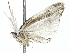  ( - BIOUG91398-G07)  @11 [ ] CreativeCommons - Attribution (2022) CBG Photography Group Centre for Biodiversity Genomics
