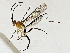 ( - BIOUG91399-H04)  @11 [ ] CreativeCommons - Attribution (2022) CBG Photography Group Centre for Biodiversity Genomics