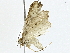  ( - BIOUG91400-B03)  @11 [ ] CreativeCommons - Attribution (2022) CBG Photography Group Centre for Biodiversity Genomics
