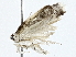  ( - BIOUG91400-B05)  @11 [ ] CreativeCommons - Attribution (2022) CBG Photography Group Centre for Biodiversity Genomics
