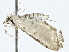  ( - BIOUG91400-B06)  @11 [ ] CreativeCommons - Attribution (2022) CBG Photography Group Centre for Biodiversity Genomics