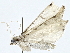  ( - BIOUG91400-B09)  @11 [ ] CreativeCommons - Attribution (2022) CBG Photography Group Centre for Biodiversity Genomics