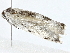  ( - BIOUG91400-C05)  @11 [ ] CreativeCommons - Attribution (2022) CBG Photography Group Centre for Biodiversity Genomics
