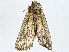 ( - BIOUG91400-D06)  @11 [ ] CreativeCommons - Attribution (2022) CBG Photography Group Centre for Biodiversity Genomics