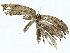  ( - BIOUG91405-B07)  @11 [ ] CreativeCommons - Attribution (2022) CBG Photography Group Centre for Biodiversity Genomics