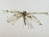  ( - BIOUG91405-C01)  @11 [ ] CreativeCommons - Attribution (2022) CBG Photography Group Centre for Biodiversity Genomics