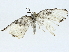  ( - BIOUG91405-C07)  @11 [ ] CreativeCommons - Attribution (2022) CBG Photography Group Centre for Biodiversity Genomics
