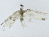  ( - BIOUG91405-C12)  @11 [ ] CreativeCommons - Attribution (2022) CBG Photography Group Centre for Biodiversity Genomics