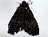  ( - BIOUG91405-G04)  @11 [ ] CreativeCommons - Attribution (2022) CBG Photography Group Centre for Biodiversity Genomics