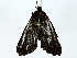  ( - BIOUG91405-G07)  @11 [ ] CreativeCommons - Attribution (2022) CBG Photography Group Centre for Biodiversity Genomics